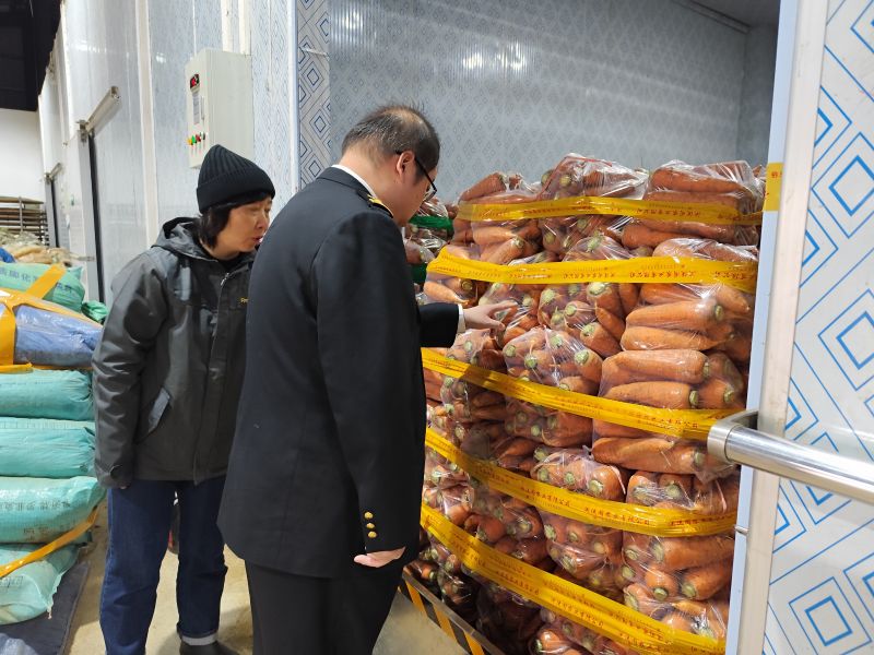 贵安新区海关助力安顺市胡萝卜首次出口