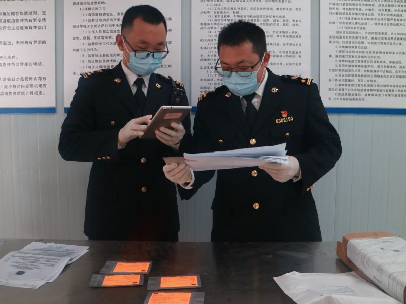 机场海关保障全省今年首批进境植物种子顺畅通关